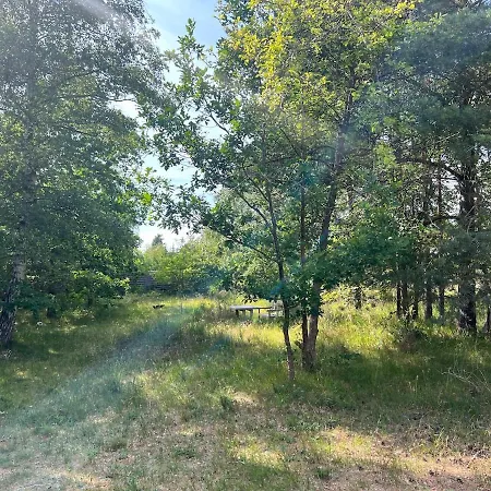 Charming In Lovely Nature Close To The Sea Holiday home Vig